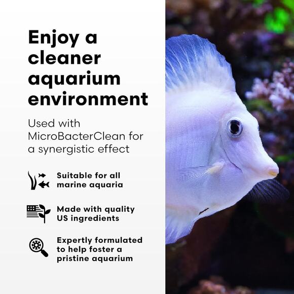 Brightwell Aquatics Razor Marine 250mL Unique Reef Aquarium Systemic Cleaner - Picture 3 of 7